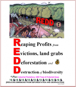 REDD