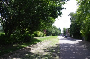 cremerstraat bomen vlakbij Kempisweg